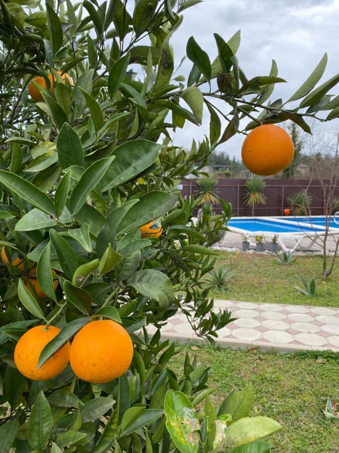 Hotel Solntse Abkhazii Lidzava Exterior foto