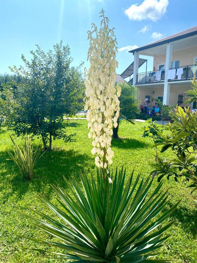 Hotel Solntse Abkhazii Lidzava Exterior foto