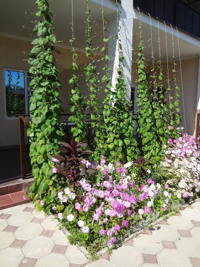 Hotel Solntse Abkhazii Lidzava Exterior foto